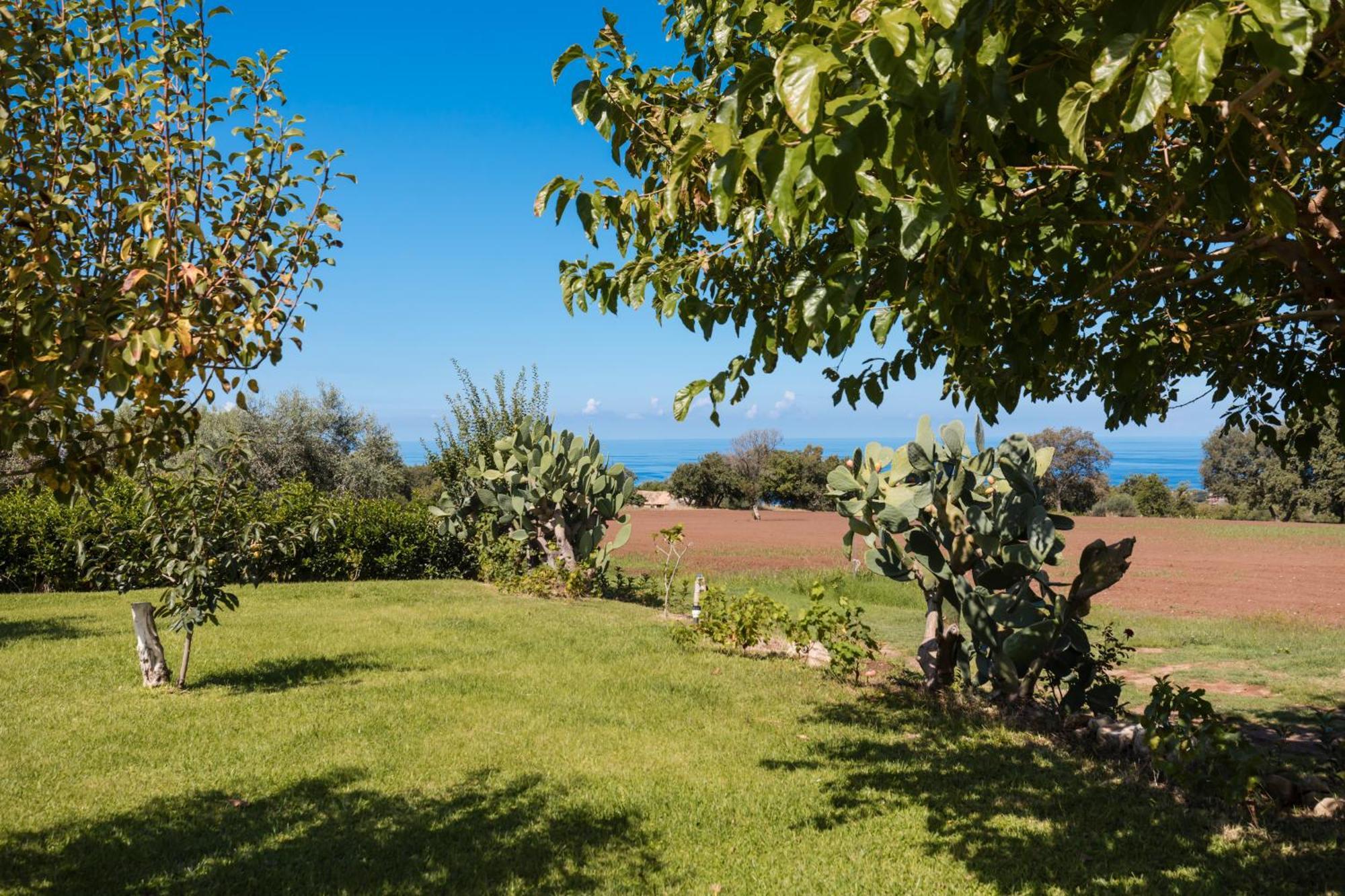 Villa Eirene Ricadi Exterior foto